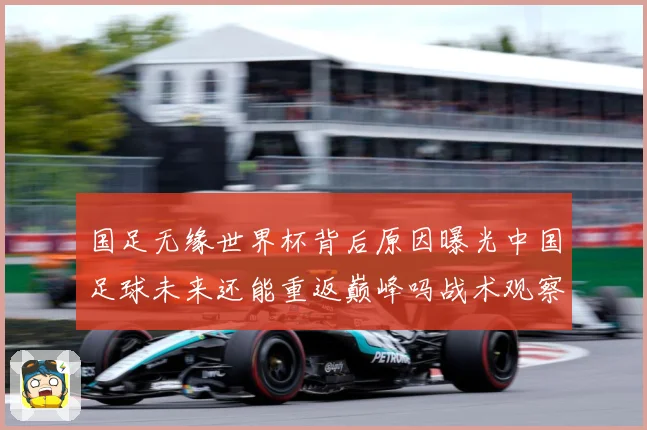 国足无缘世界杯背后原因曝光中国足球未来还能重返巅峰吗战术观察：最新赛事动态与深度分析